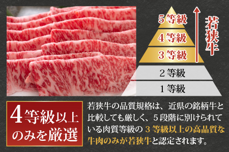 【福井のブランド牛肉】若狭牛ロースor肩ロース肉 すき焼き用  500g(250g×2パック)【4等級以上】[C-054003]