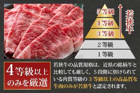 【福井のブランド牛肉】若狭牛ロースor肩ロース肉 しゃぶしゃぶ用   500g(250g×2パック)【4等級以上】[C-054004]