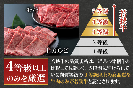 【福井のブランド牛肉】若狭牛焼肉食べ比べセット  1kg(上カルビ500g×1パック・モモ500g×1パック)【4等級以上】[E-054002]