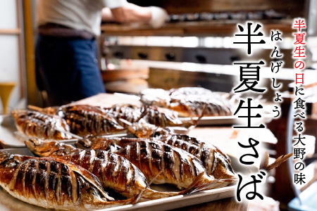 【先行予約】魚屋直送！大野名物 炭火焼き 半夏生さば（丸焼きさば）1本【2026年6月28日～7月10日お届け】