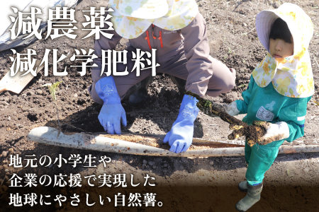 年内発送！日本百名山「自然薯　荒島岳」約1kg [C-041001]