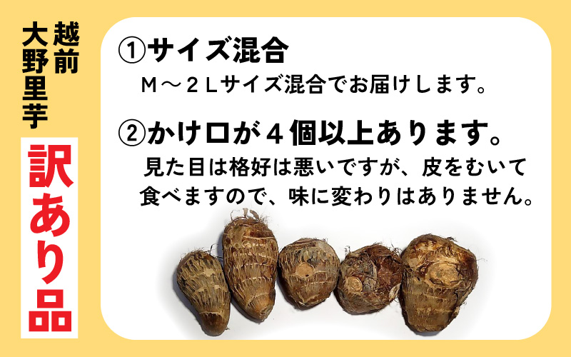 訳あり！越前大野里芋　5kg【土付】
