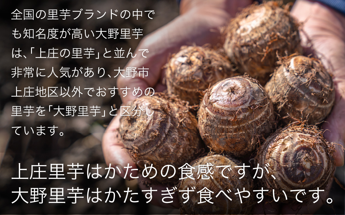 大野の里芋とたんちょう餅の詰め合わせA（里芋3kg+丸餅8個入り×1袋）【2025年11月30日より順次発送】