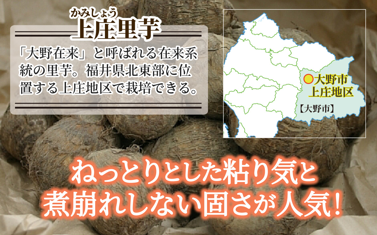 奥越明成高校協力!!　旨味たっぷり上庄の里芋【土付】3kg [A-001079]