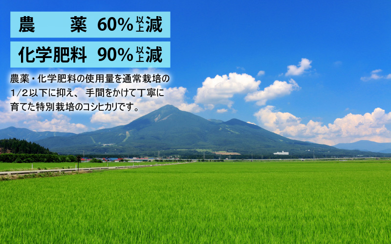 【先行予約】【令和7年産 新米】減農薬・減化学肥料の特別栽培コシヒカリ 玄米 5kg 農家直送 福井県大野市産