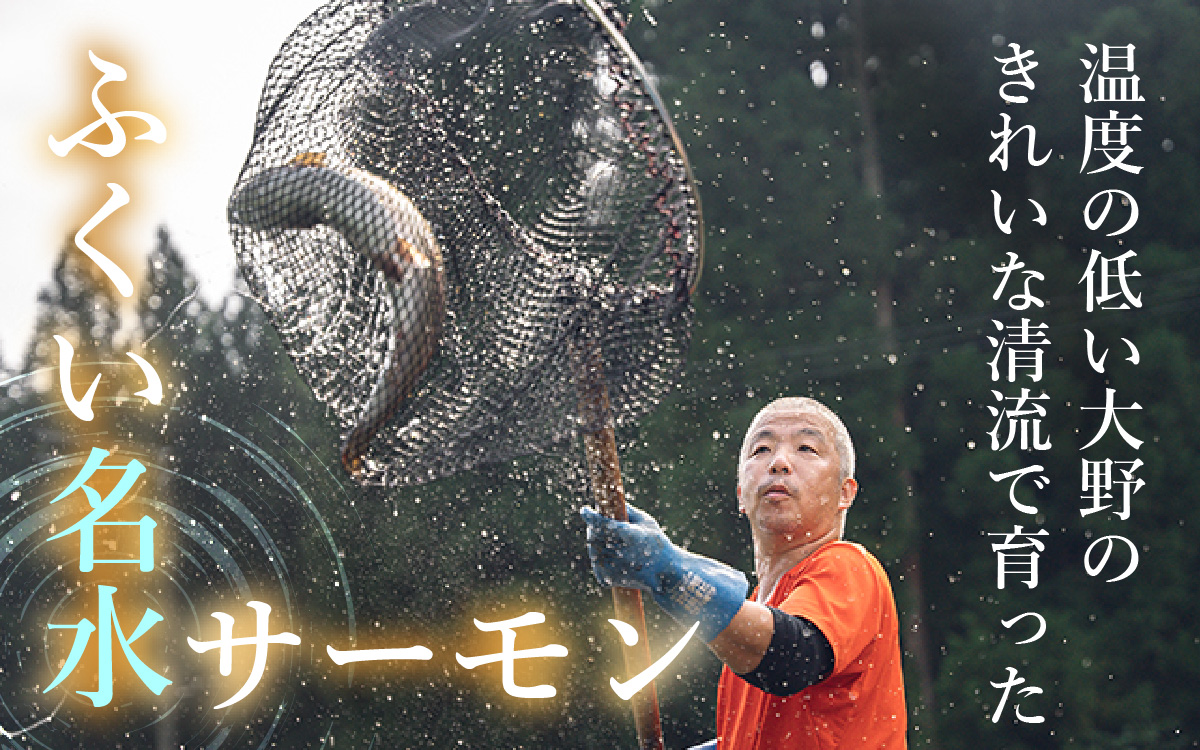 【希少】福井県大野市産 ふくい名水サーモン 片身 約600g（生食・加熱用）真空冷凍