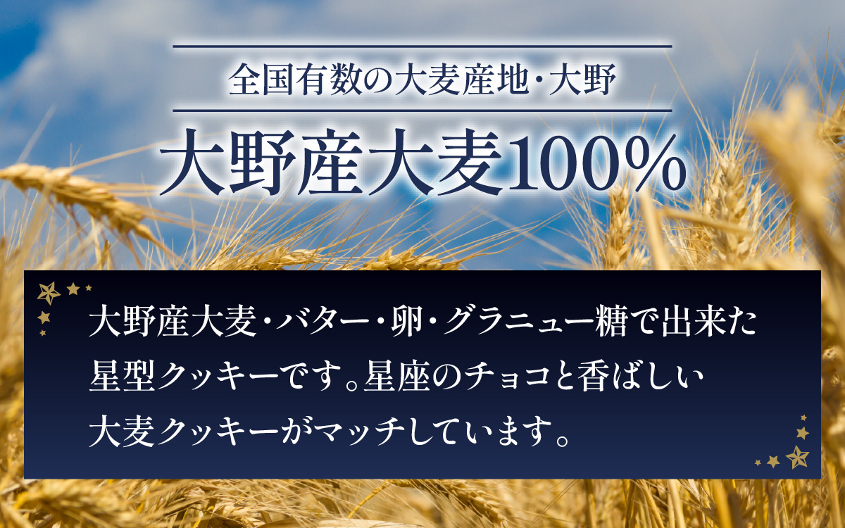 星のユートピア（大麦チョコクッキー）