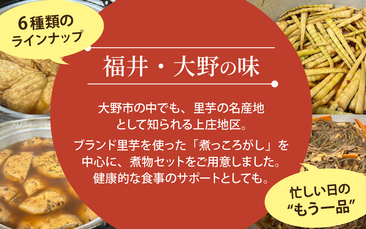 【福井・大野の味】福井・大野の味 じっくり煮物Aセット6種類(計7袋入)[A-054038]
