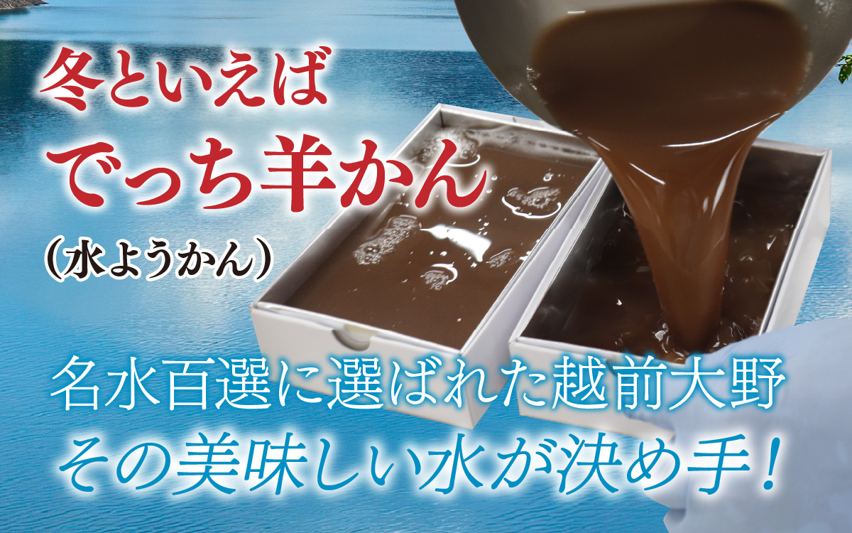 名水の里 越前大野 でっち羊かん（沖村香林堂 水羊かん）小サイズ（490g）×1箱【11月以降順次発送】