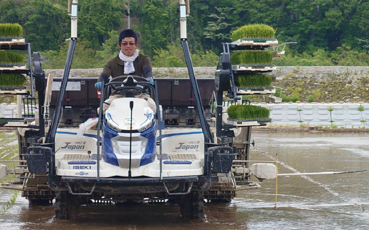 【先行予約】【令和7年産 新米】福井県大野産コシヒカリ（白米）5kg