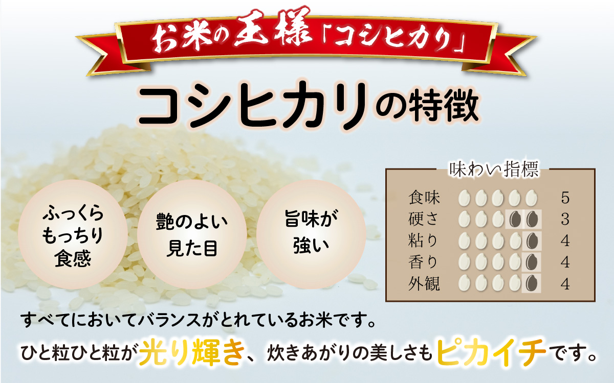 【先行予約】【令和7年産 新米】【3ヶ月定期便】福井県大野市産 JGAP認証 コシヒカリ「あかね」（白米）10kg（5kg×2袋）×3回　計30kg