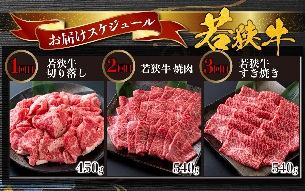 【肉の定期便×6回コース】肉好き大集合！若狭牛 食べ比べ 定期便！【福井のブランド牛肉】【4等級以上】[K-054002]