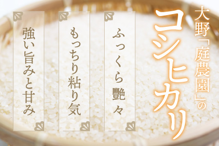 【令和7年産】【6ヶ月定期便】越前大野産 エコファーマー認定農家栽培こしひかり 白米 10kg × 6回 計60kg