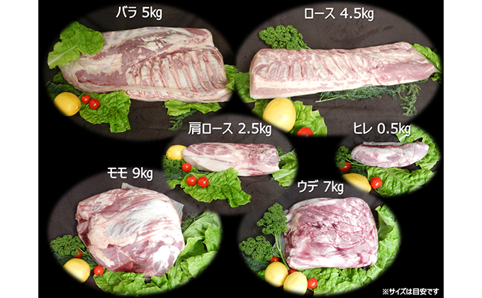 福井県大野市 新ブランド “奇跡の豚” 荒島ポーク 1/2頭まるごとセット 27～34kg ブロック