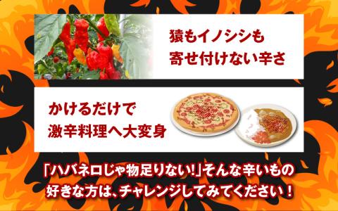 【激辛注意！】ジョロキング九味（ここみ）　2本セット