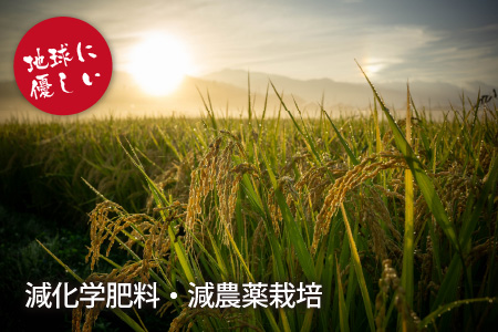 【令和7年産 新米】名水の里 越前大野の棚田清流米コシヒカリ 2kg×2袋 減農薬 減化学肥料[A-011013]