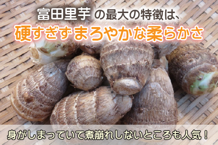 希少！とみた里芋 3kg ねっとりまろやか煮崩れなし！【年内出荷】 [A-001012]