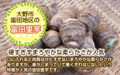 希少！とみた里芋 5kg ねっとりまろやか煮崩れなし！【11月～年内出荷】 [A-001048]