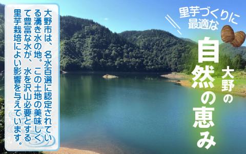 越前大野里芋 5kg ねっとりうまい煮崩れしない！【11月より順次発送】