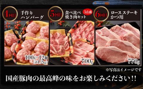 【肉の定期便×6回コース】肉好き大集合！臭みゼロの豚肉「荒島ポーク」食べ比べ 定期便！【福井のブランド豚肉】[F-054001]