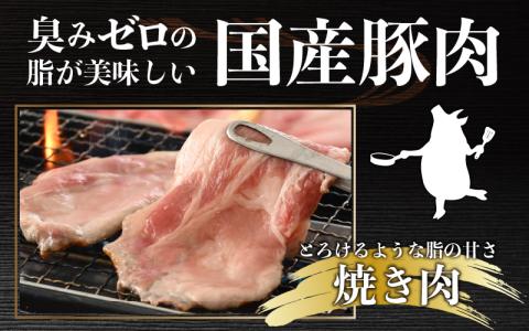 【肉の定期便×3回コース】肉好き大集合！臭みゼロの豚肉「荒島ポーク」食べ比べ 定期便！【福井のブランド豚肉】[C-054005]