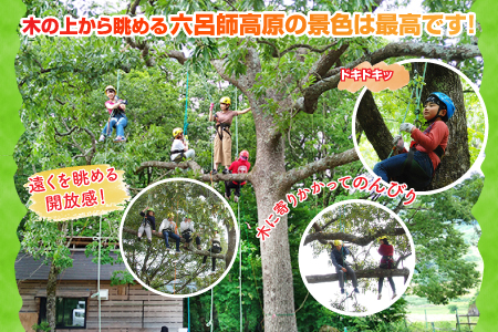 ワクワク 木登り体験！ツリークライミング＆森カフェ2名様分[B-010001]