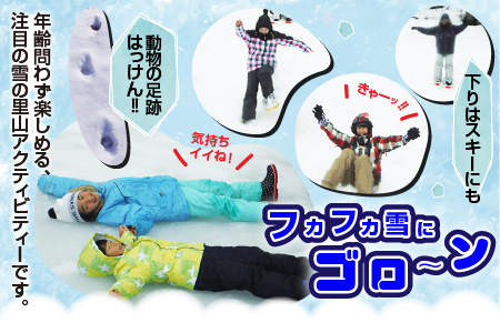 雪の森をワクワク歩こう！スノーシューガイドツアーin六呂師高原 2名様分[B-010002]