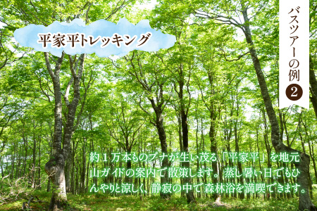 大野を満喫するならコレ！日帰りバスツアー参加券（1名様分）[C-006001]