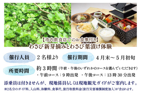 【食事付き】わさび新芽摘みとわさび葉漬け体験（2名様分）[D-006005]