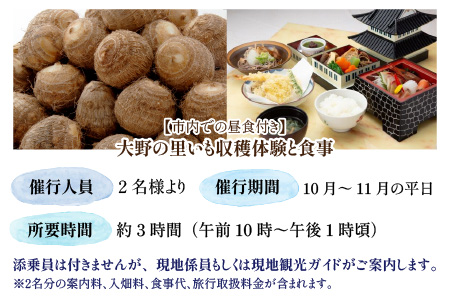 【里いものお土産付き♪】大野の里いも収穫体験と食事（2名様分）[D-006006]
