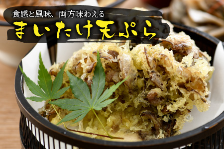 九頭竜まいたけ 2株入り [A-038001]