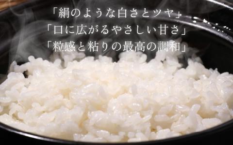 【福井のブランド米】【令和7年産 新米】【特A獲得】いちほまれ無洗米＋九頭竜まいたけカレーセット[A-054027]