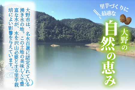 【年内お届け】日本百名山 荒島岳の麓で育てた 蕨生（わらびょう）里芋 3kg【11月～年内出荷】[A-001010]