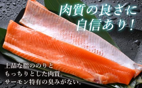 ふくいサーモン 700g (刺身用)　真空冷凍　175g × 4パック