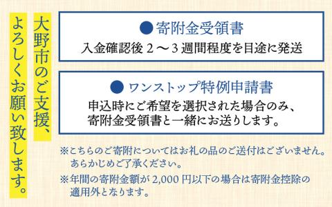 【返礼品なし】星空と名水のまち　越前おおのへのふるさと納税 応援寄附金