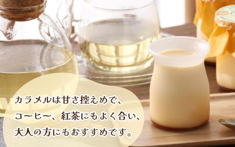 食品添加物不使用「なめらかぷりん」6個セット