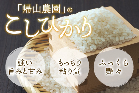 【12月出荷】越前大野の味自慢！上庄里芋とコシヒカリの詰合せ 計4kg（上庄里芋2kg コシヒカリ2kg×1袋）[A-001046]
