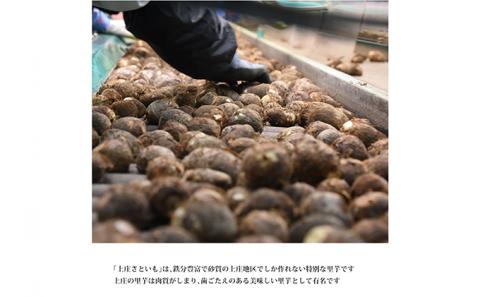 里芋のトップブランド「上庄さといも」 5kg[A-011019]