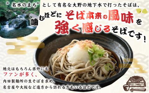 【6ヶ月定期便】越前大野産 石臼挽き 越前そば 生そば5食 × 6回 計30食（つゆ付）