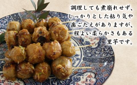 【先行予約】【訳あり】越前大野産 「純ちゃん農園の里芋5kg」サイズS～LL寸【10月下旬より順次発送】