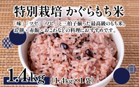 【令和7年産 新米】ベストファーマー ほたるの里 特別栽培こしひかり 4kg（2kg × 2袋） ＋ かぐらもち米 1.4kg 化学肥料不使用 農薬70％以上カット [A-002002]