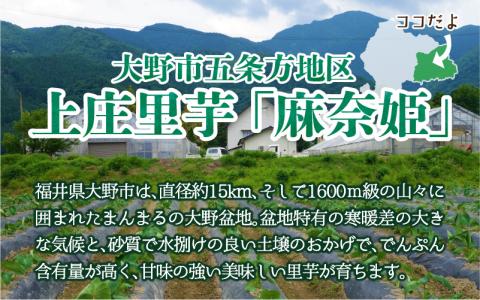 【年内お届け】上庄里芋「麻奈姫」2kg「農家直送」