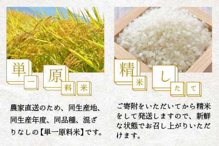 【令和5年産】福井県大野市産 コシヒカリ 無洗米 3合×10パック（4.5kg）小分け アウトドアにもおすすめ 農家直送  [A-013003]