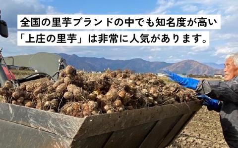 訳あり！上庄の里芋　5kg【土付】