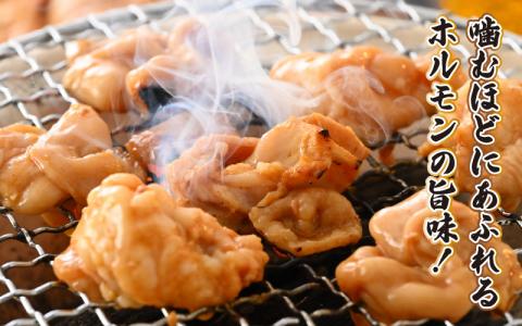 【4ヶ月定期便】【全国ホルモン大会初代優勝】星山ホルモン　ホルモン全種類＋若鶏もも肉4ヶ月定期便セット【行列のできるお店】