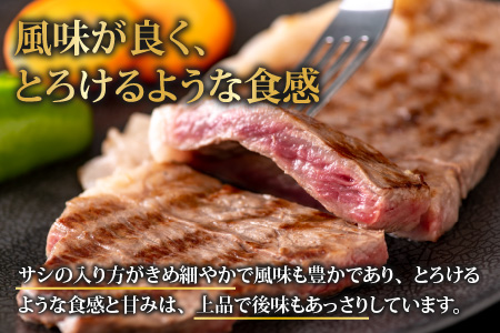 【福井のブランド牛肉】若狭牛 サーロインステーキ用   510g(170g×3枚)【4等級以上】[C-054002]