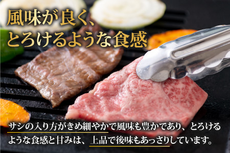 【福井のブランド牛肉】若狭牛焼肉食べ比べセット  1kg(上カルビ500g×1パック・モモ500g×1パック)【4等級以上】[E-054002]