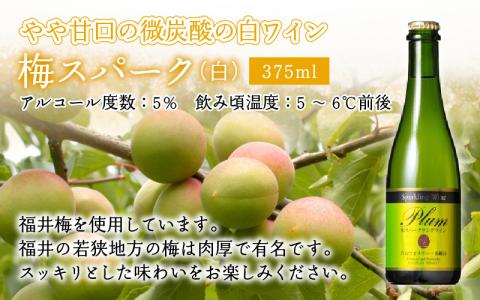 スパークリングワイン小公子＆福井梅 375ml　2本セット【数量限定】
