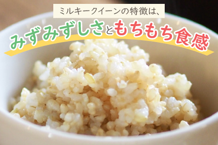 【先行予約】【令和7年産 新米】ミネラル豊富！弱アルカリ性のピロール米 ミルキークイーン 玄米 10kg（5kg×2袋） 化学肥料5割以下・減農薬