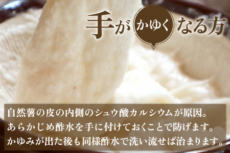 年内発送！日本百名山「自然薯　荒島岳」約1kg [C-041001]